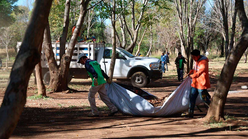 Alfonso Martínez anuncia rescate del bosque Arboretum