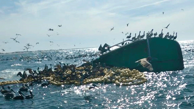 Pescador desaparece tras naufragar barco atunero en Ahome, Sinaloa