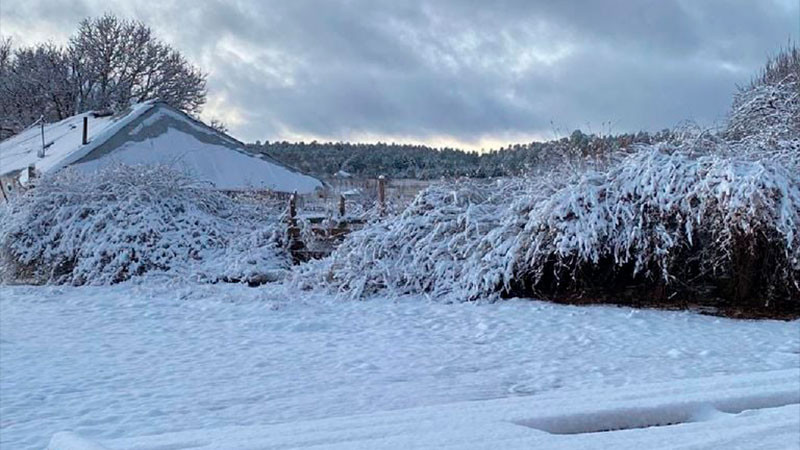 Nevadas en Estados Unidos dejan más de 45 muertos y miles de personas sin luz en Oregón