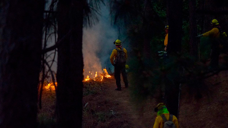 Gobierno de Nacho Campos sigue preparándose para prevenir incendios forestales en Uruapan