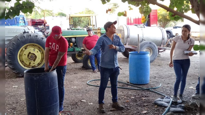 Productores de limón aprenden a mejorar sus suelos y a nutrir sus cultivos