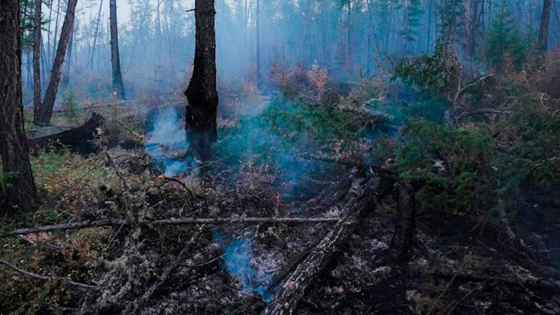 Suman 46 muertos por incendios en Chile