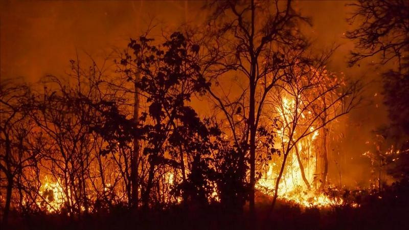 Arrestan a sospechosos de provocar incendios en Valparaíso, Chile