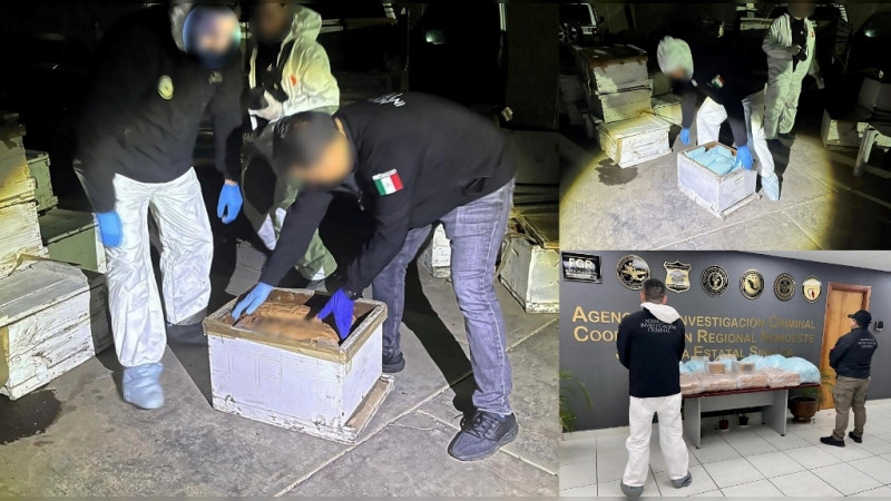 Aseguran en cajas para abejas 1.2 millones de pastillas de opioides y 75 kilos de droga sintética, en Sinaloa