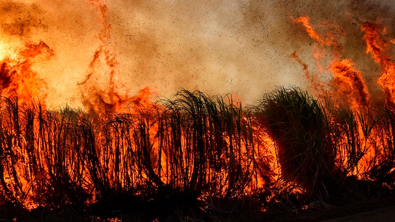 Gabriel Boric decreta duelo nacional por víctimas de incendios forestales en Valparaíso, Chile