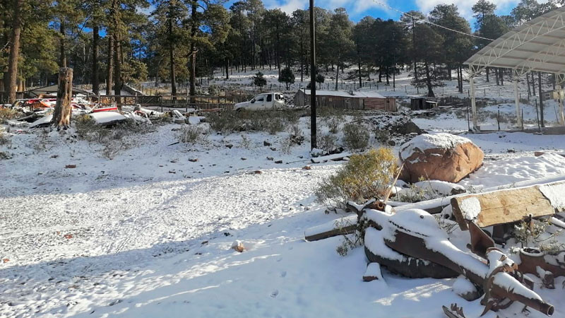 Cierran tramos carreteros por nevadas en la región noroeste de Chihuahua