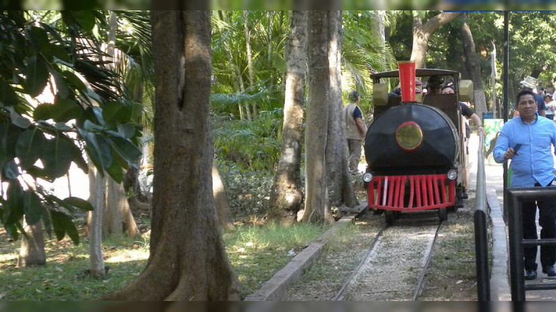 Se descarrila trenecito del Parque Zoológico Centenario en Yucatán; hay tres lesionados