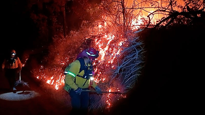 Brigadistas forestales de Uruapan controlan incendio de bosque 