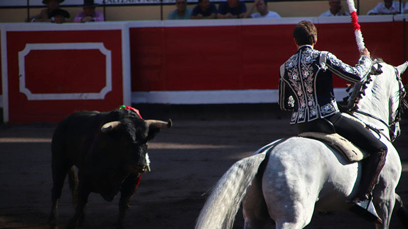 Diputados morenistas promueven consulta pública sobre corridas de toros 