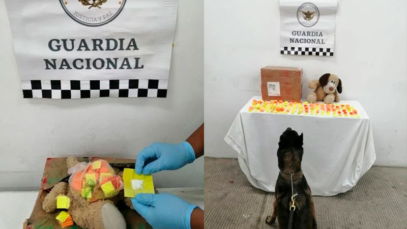 Aguascalientes: GN detecta e incauta droga en muñecos de peluche