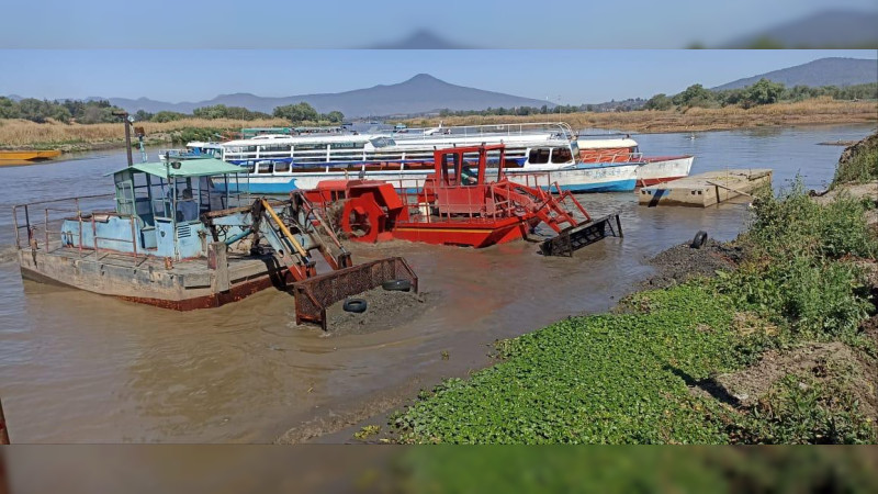 En operación permanente, brigadas de limpieza en el lago de Pátzcuaro: Compesca