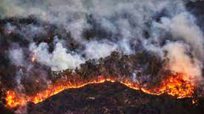 Incendio en Australia arrasa con 100 mil hectáreas y provoca miles de evacuaciones 