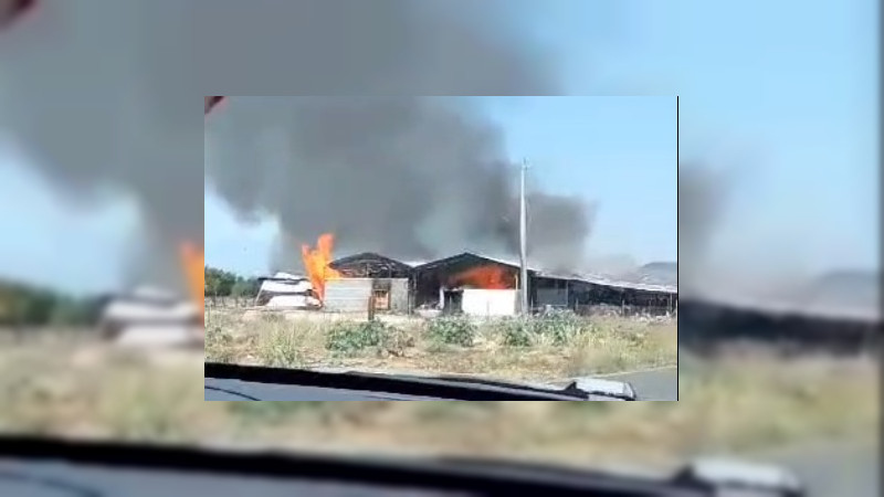 Se registra incendio en empaque de mango en Lombardía, Michoacán