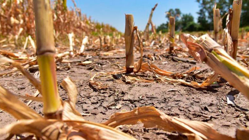 Gobierno de Sonora emite declaratoria de emergencia hídrica  por sequía extrema 