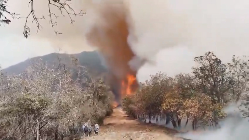 Cinco los comuneros fallecidos tras combatir incendio de bosque en Quiaviní, Oaxaca