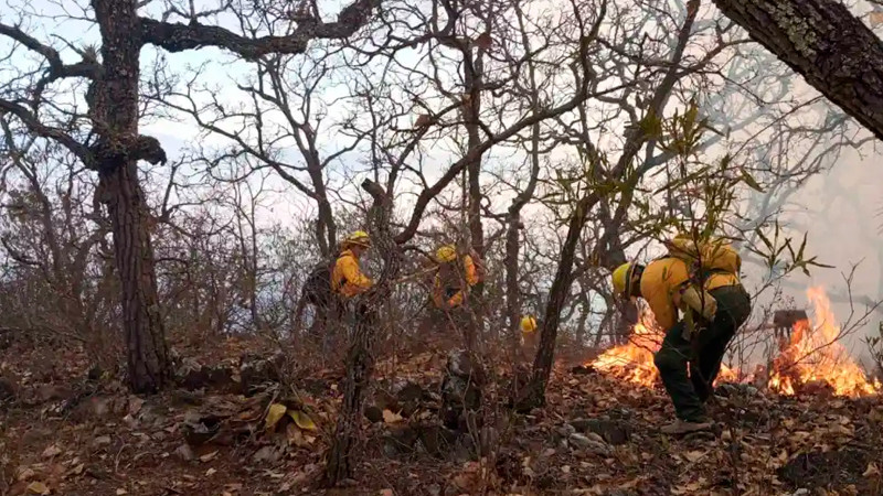 Tras incendio en Oaxaca localizan 4 cuerpos de comuneros