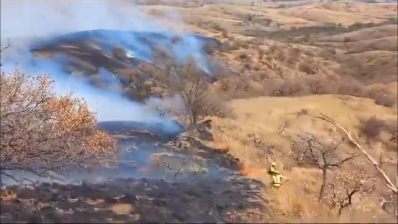 Bomberos combaten incendio forestal en Guerrero