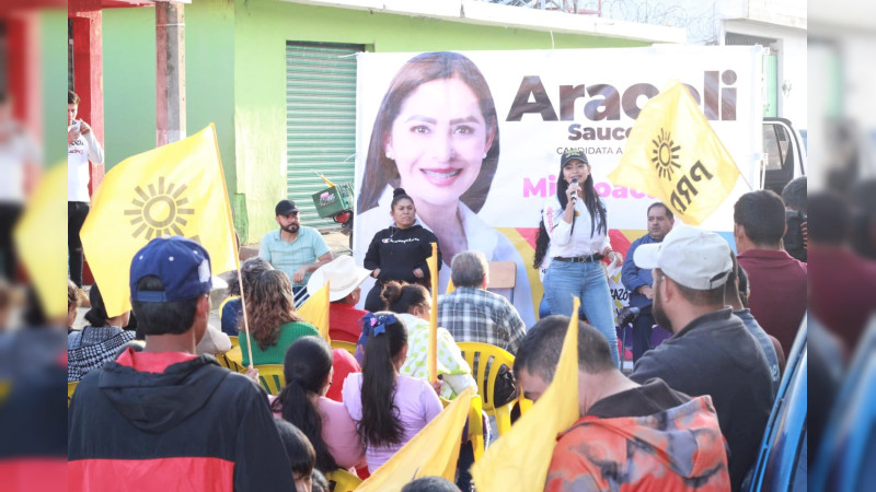 Es necesaria la creación de un seguro médico que brinde atención a todas y todos: Araceli Saucedo