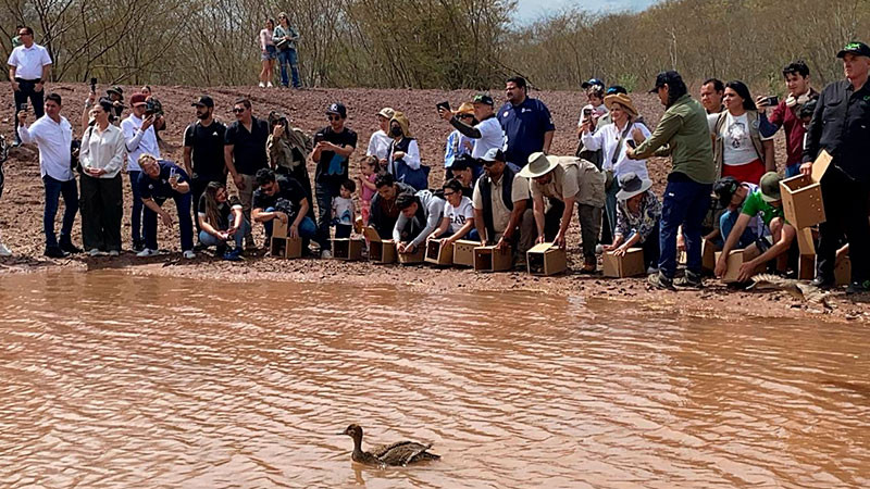 En 3 años el Ostok Sanctuary ha rescatado mil 800 animales silvestres