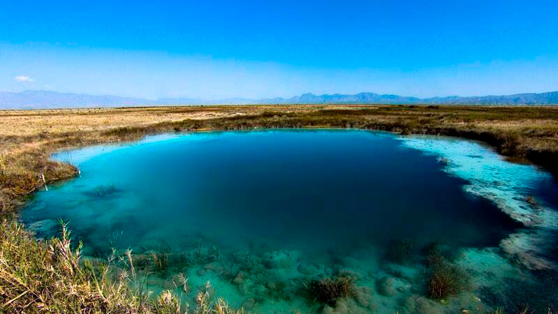 Alertan por disminución del nivel del agua en oasis Cuatro Ciénegas, en Coahuila