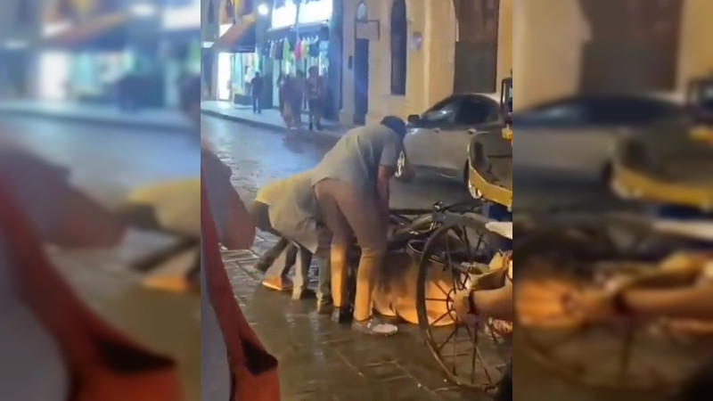 Caballo de calesa se desploma de cansancio en Centro Histórico de Mérida