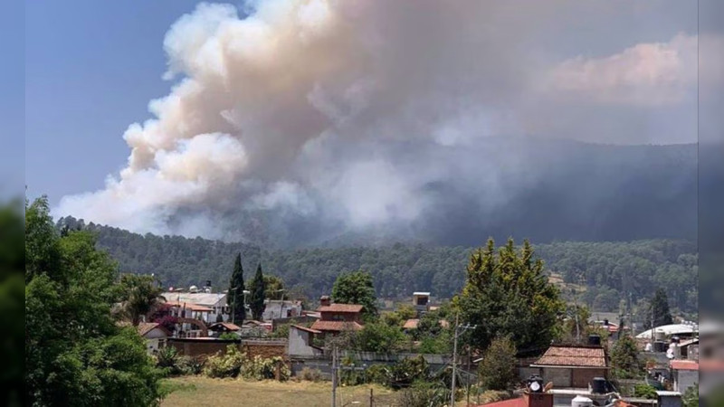 Tres personas pierden la vida en incendio forestar en el Cerro de La Tina