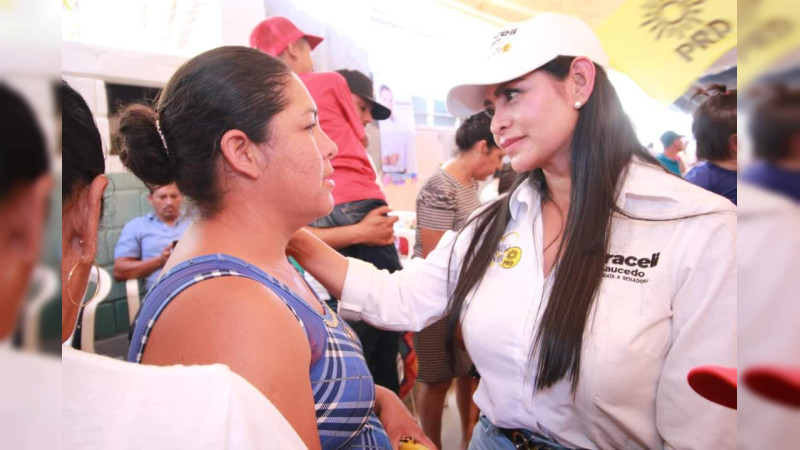 Inaplazable garantizar abastecimiento de medicamentos en la red hospitalaria pública: Araceli Saucedo