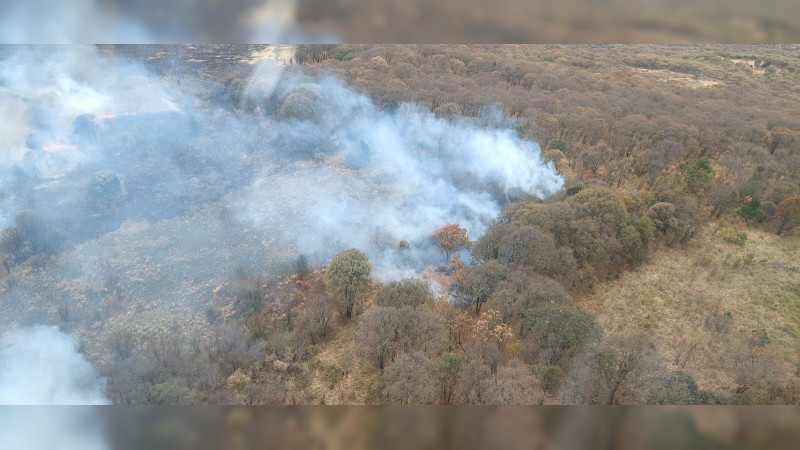 Por tierra y aire se combate incendio forestal en el cerro del Águila, en Morelia