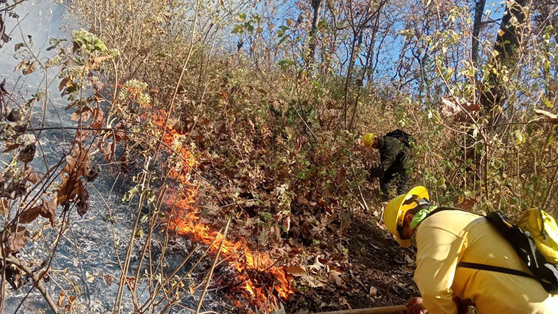 Atienden brigadas nuevo incendio forestal en cerro del Quinceo