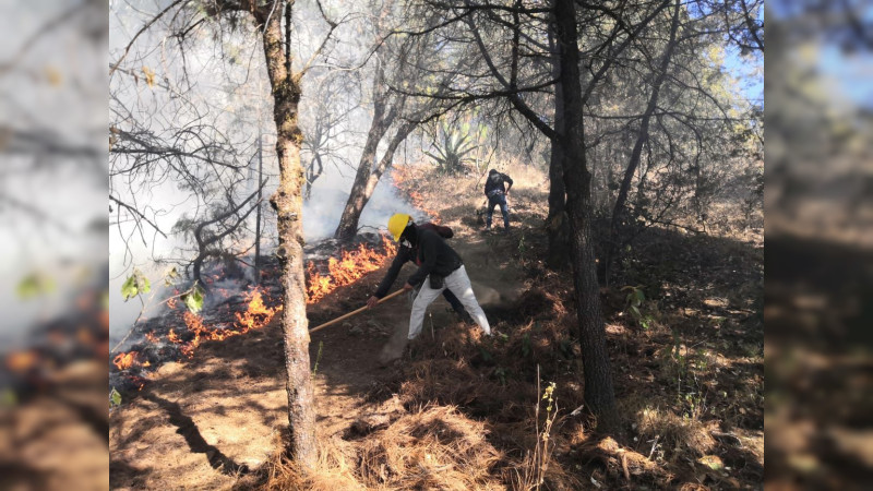 Combate a incendio forestal en Tlalpujahua, con 80 % de avance