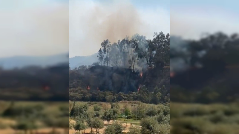 Incendio consume pastizales cerca de parque La Mexicana en Santa Fe, en Ciudad de México