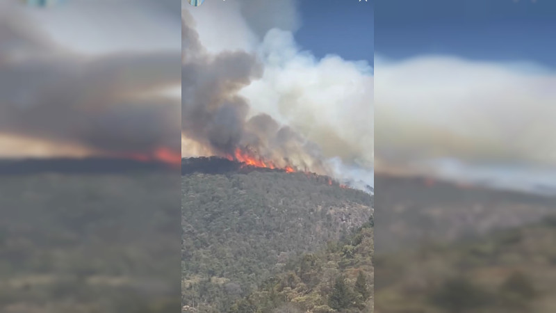 Brigadistas atienden incendio forestal en Tlalpujahua; se combaten 11 en el estado