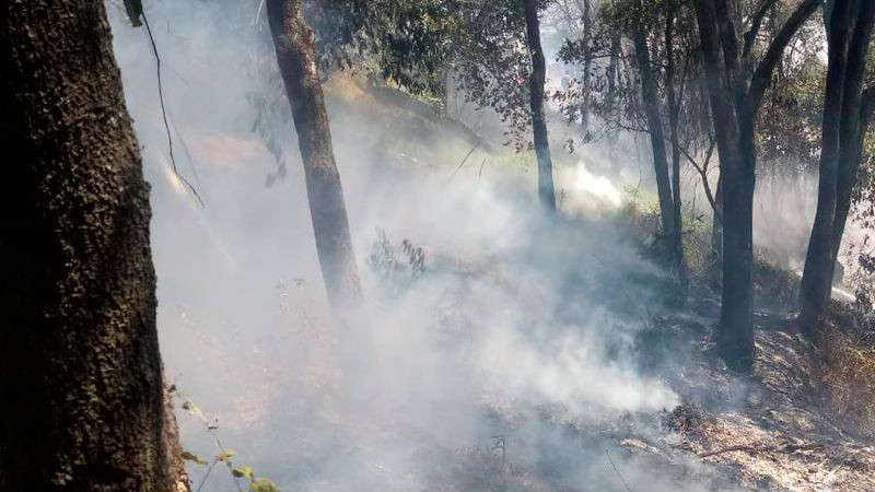 Fallece quinto brigadista en combate a incendios forestales en el Edomex