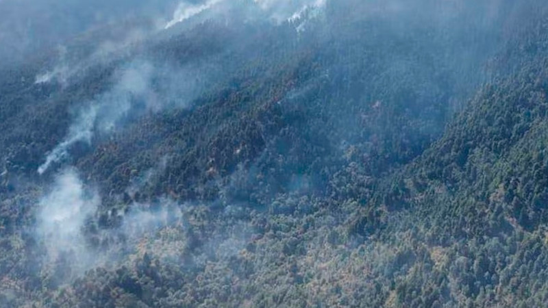 Controlan al 100% incendio forestal en Villa Guerrero, Estado de México