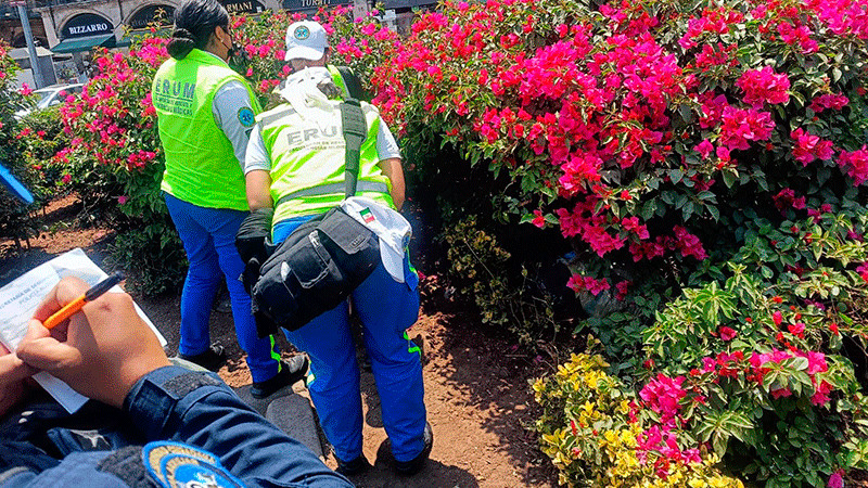 Encuentran cuerpo sin vida de hombre en jardines del Zócalo capitalino