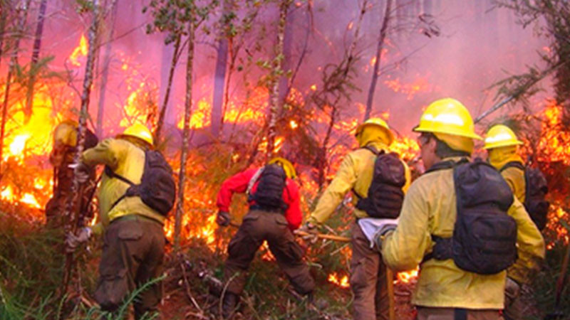 Devastadas 19 mil hectáreas en Edomex por incendios forestales 