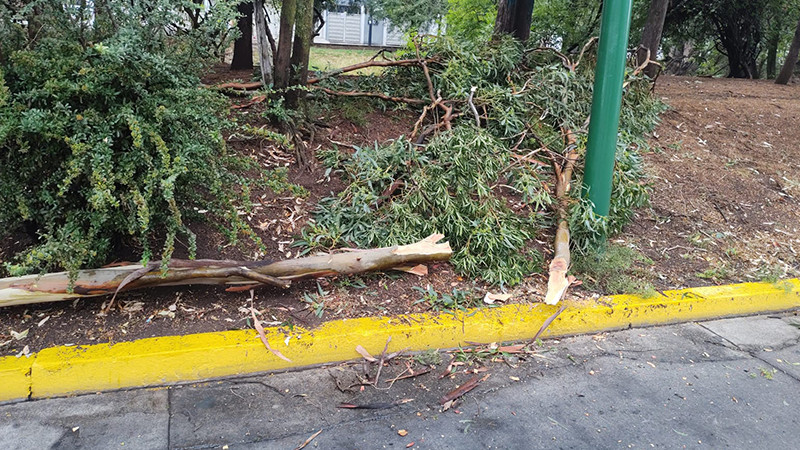 Gobierno Municipal, alerta por lluvias en Morelia; reporta afectaciones menores