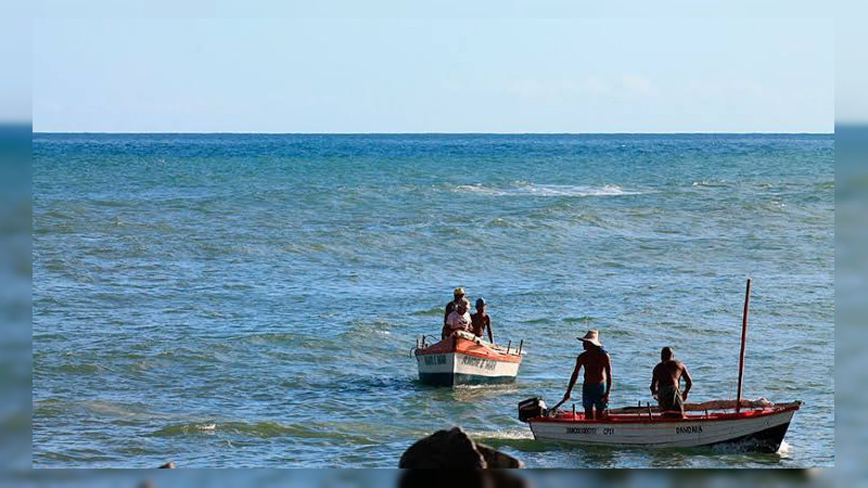 Especialistas descartan marea roja en costas de Yucatán 