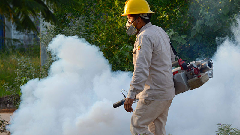 Van 196 casos de dengue en Tamaulipas; cifra podría aumentar por lluvias