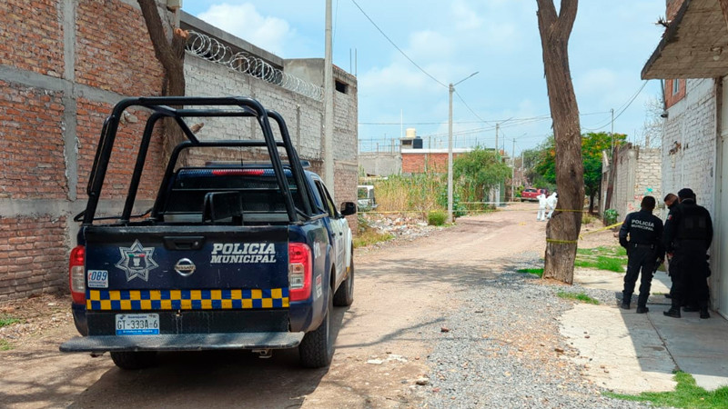 Privan de la vida a 4 integrantes de una familia; sobrevive una menor, en Villagrán, Gto