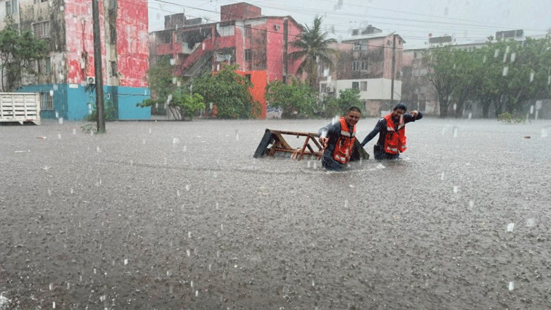 Calles inundadas y árboles caídos dejan lluvias intensas en el puerto de Veracruz