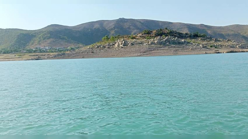 Presas de Zacatecas presentan captación de agua insuficiente