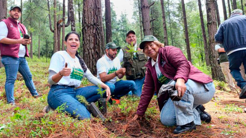 Arranca plantación de 2 mil árboles en área protegida de Los Azufres, Michoacán