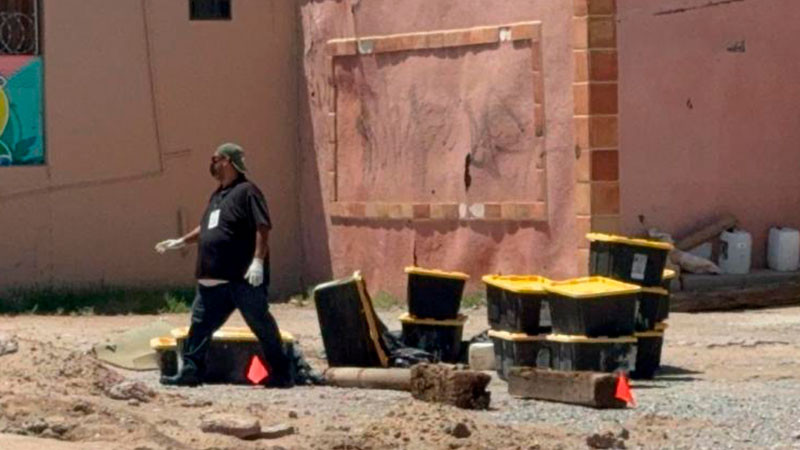 Abandonan 17 cajas con tortugas muertas en Ciudad Juárez, Chihuahua