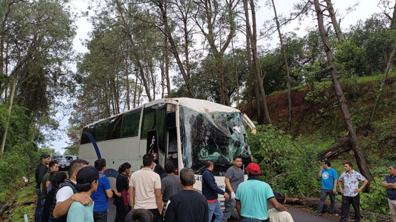 En la libre Uruapan-Pátzcuaro, cae un árbol sobre un camión de pasajeros; hay dos heridos