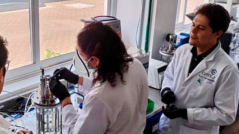 Logra Tec de Apatzingán, Michoacán, acreditación de las ingenierías Civil y Bioquímica