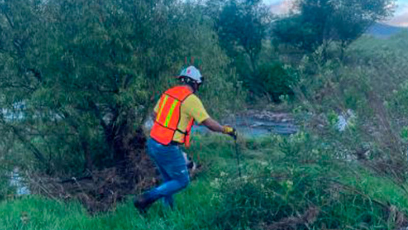 Bomberos de Zitácuaro, Michoacán, siguen apoyando en la búsqueda de menor desaparecido 