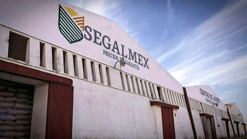 Caso Segalmex causó daño patrimonial por 2 mil 700 mdp, reconoce SFP