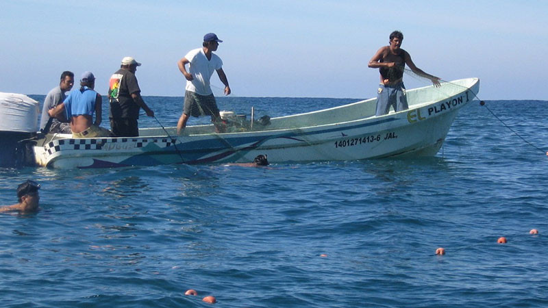 Encuentran cuerpo flotando cerca del puerto de 