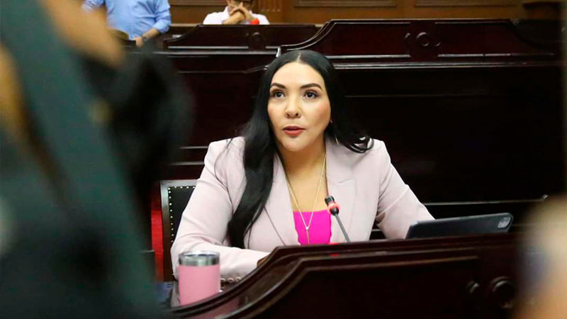 Congreso no puede ser omisos sobre lo que ocurre en Michoacán en materia de inseguridad: Adriana Campos